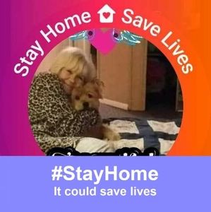 Meet your Posher, Penny